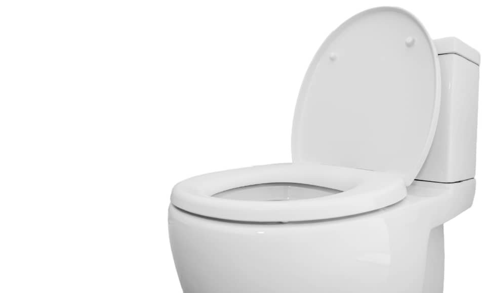 Sanitaire WC - Dépannage & entretien